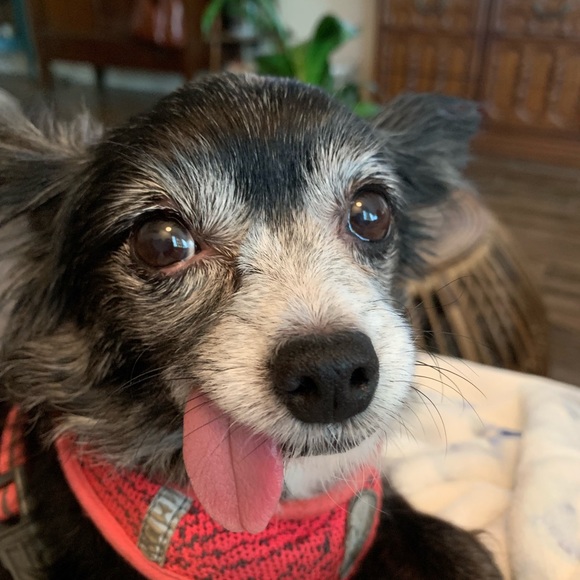 Meet your Posher, Johnna - Picture 1 of 1